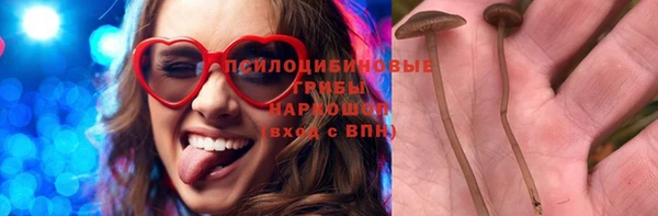 меф Дмитров