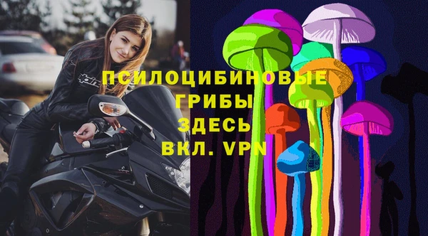 меф Дмитров