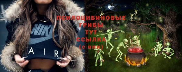 дурь Дмитровск