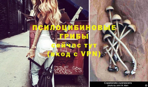 меф Дмитров