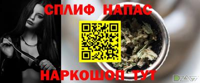 СК Гагарин