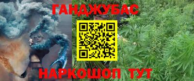 СК Гагарин