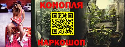 эйфоретик Гатчина
