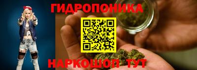 СК Гагарин