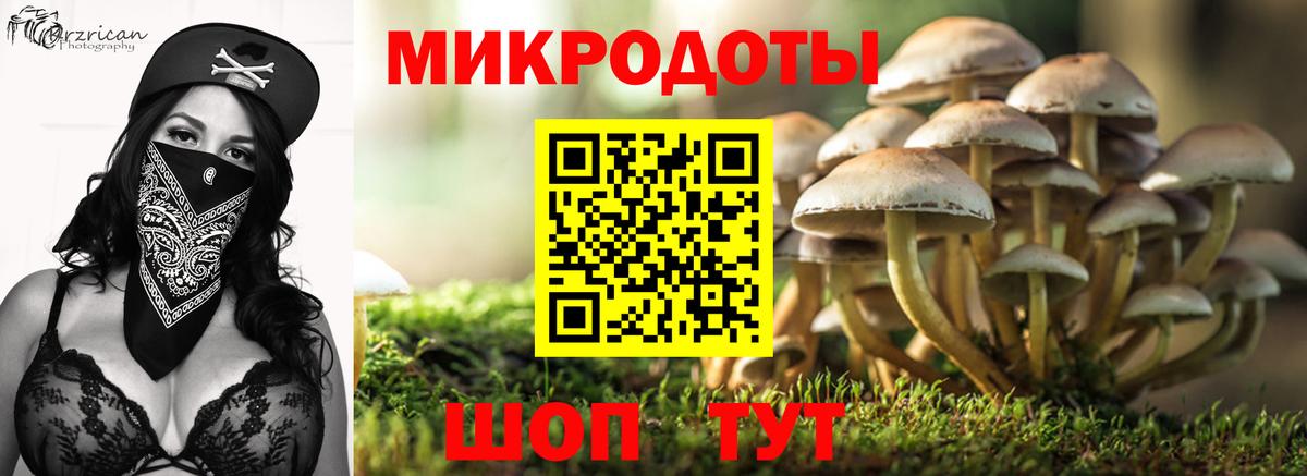 наркошоп  Псилоцибиновые грибы мухоморы  Вход с VPN  Псилоцибиновые грибы ЛСД  Еманжелинск 